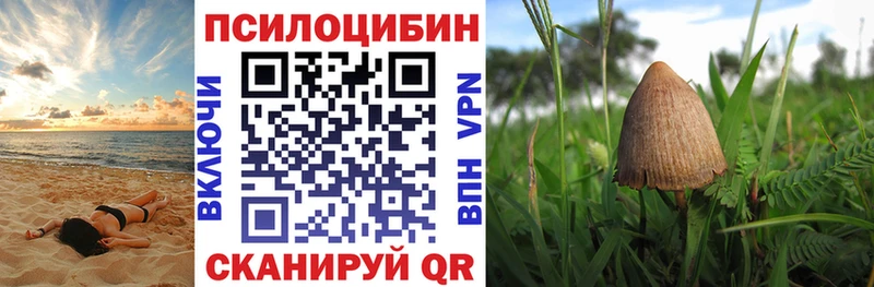Галлюциногенные грибы Psilocybine cubensis  закладки  Краснообск 